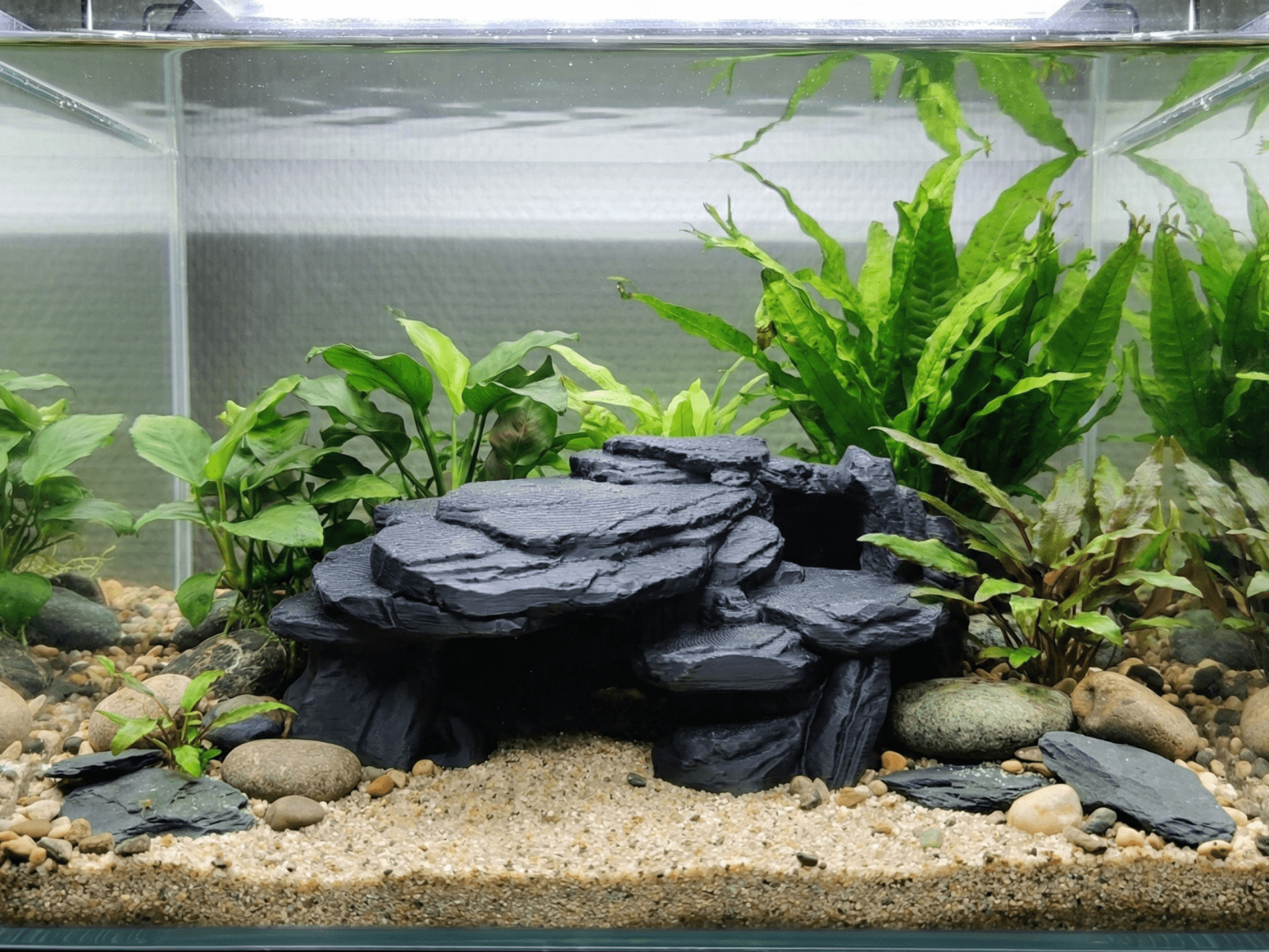 Ukras za akvarijum